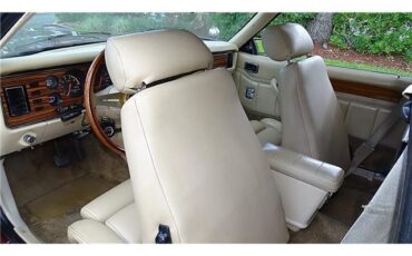 ZIMMER-GOLDEN-SPIRIT-1983-COUPE-16