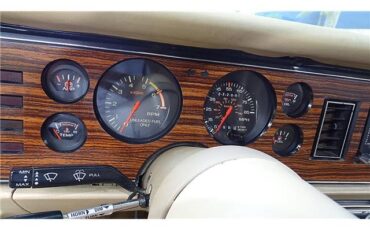ZIMMER-GOLDEN-SPIRIT-1983-COUPE-20