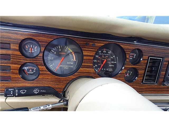 ZIMMER-GOLDEN-SPIRIT-1983-COUPE-20