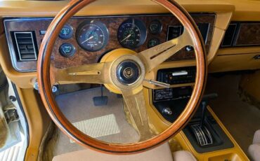 Zimmer-Golden-spirit-1982-19