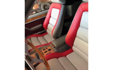 Zimmer-Golden-spirit-1983-candy-apple-red-gray-and-red-2