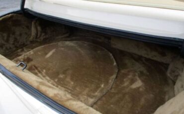 Zimmer-Golden-spirit-1984-White-Saddle-Tan-Hydes-1
