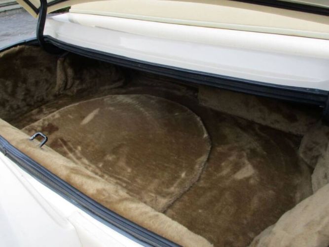 Zimmer-Golden-spirit-1984-White-Saddle-Tan-Hydes-1