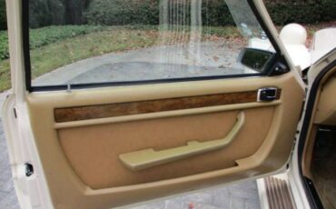 Zimmer-Golden-spirit-1984-White-Saddle-Tan-Hydes-11