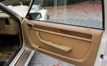 Zimmer-Golden-spirit-1984-White-Saddle-Tan-Hydes-17