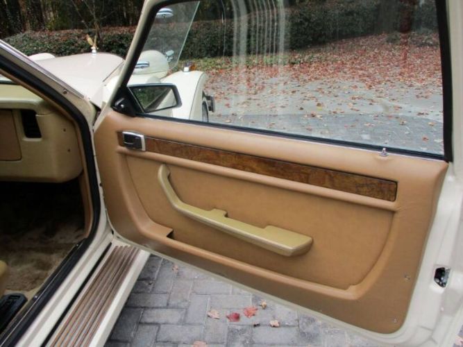 Zimmer-Golden-spirit-1984-White-Saddle-Tan-Hydes-17