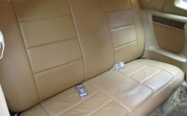 Zimmer-Golden-spirit-1984-White-Saddle-Tan-Hydes-3