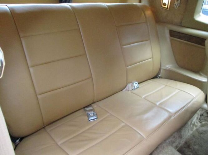 Zimmer-Golden-spirit-1984-White-Saddle-Tan-Hydes-3