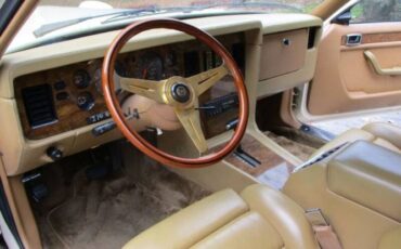 Zimmer-Golden-spirit-1984-White-Saddle-Tan-Hydes-4