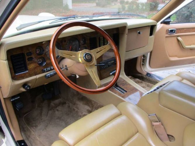 Zimmer-Golden-spirit-1984-White-Saddle-Tan-Hydes-4