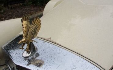 Zimmer-Golden-spirit-1984-White-Saddle-Tan-Hydes-8