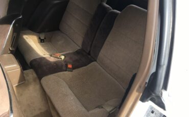 Zimmer-Golden-spirit-1986-White-Tan-10