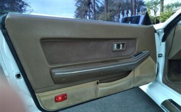Zimmer-Golden-spirit-1986-White-Tan-7