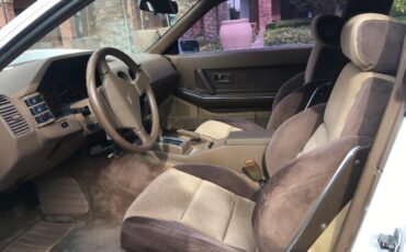 Zimmer-Golden-spirit-1986-White-Tan-9