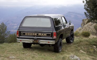 goodtimers-Dodge-Ramcharger-1985-15