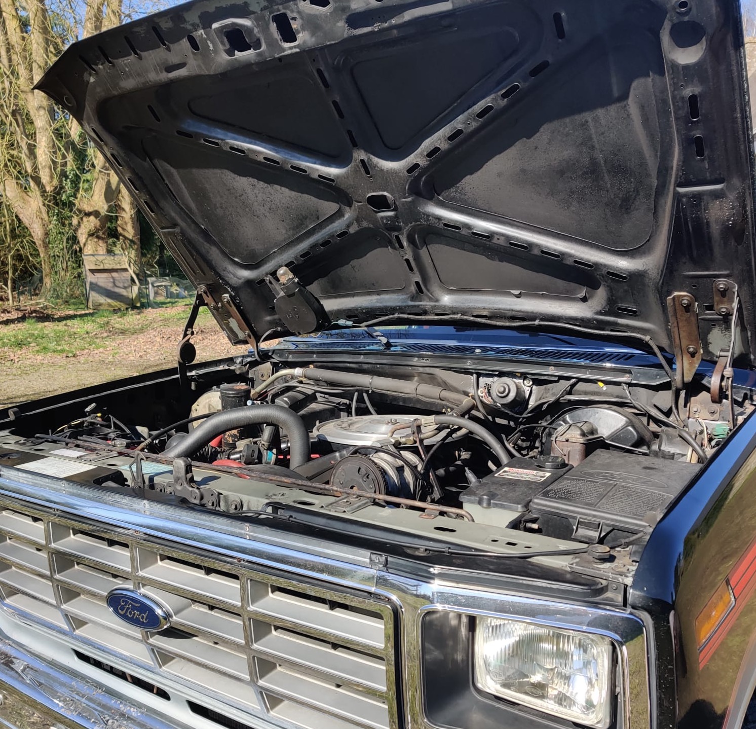 goodtimers-Ford-F150-1984-4