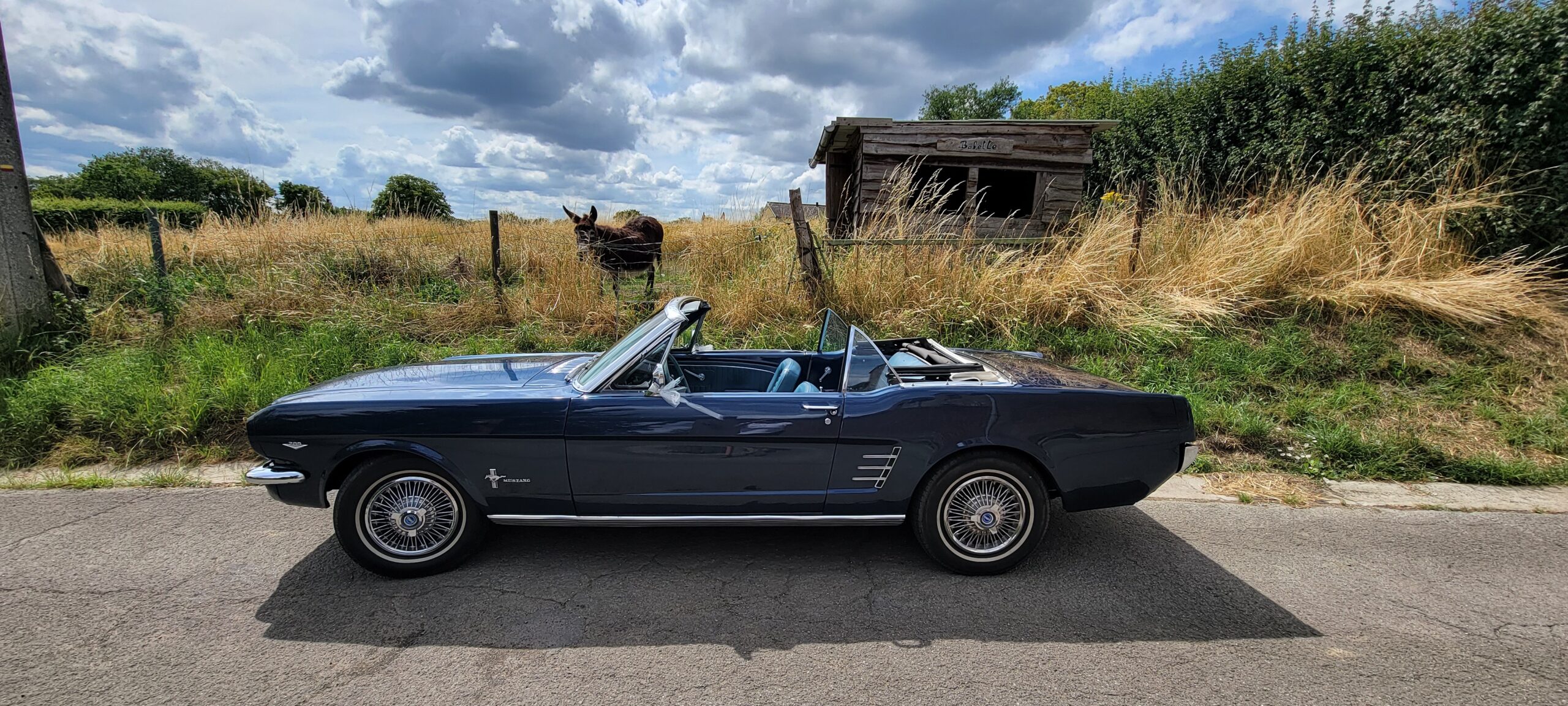 goodtimers-Ford-Mustang-1966-1