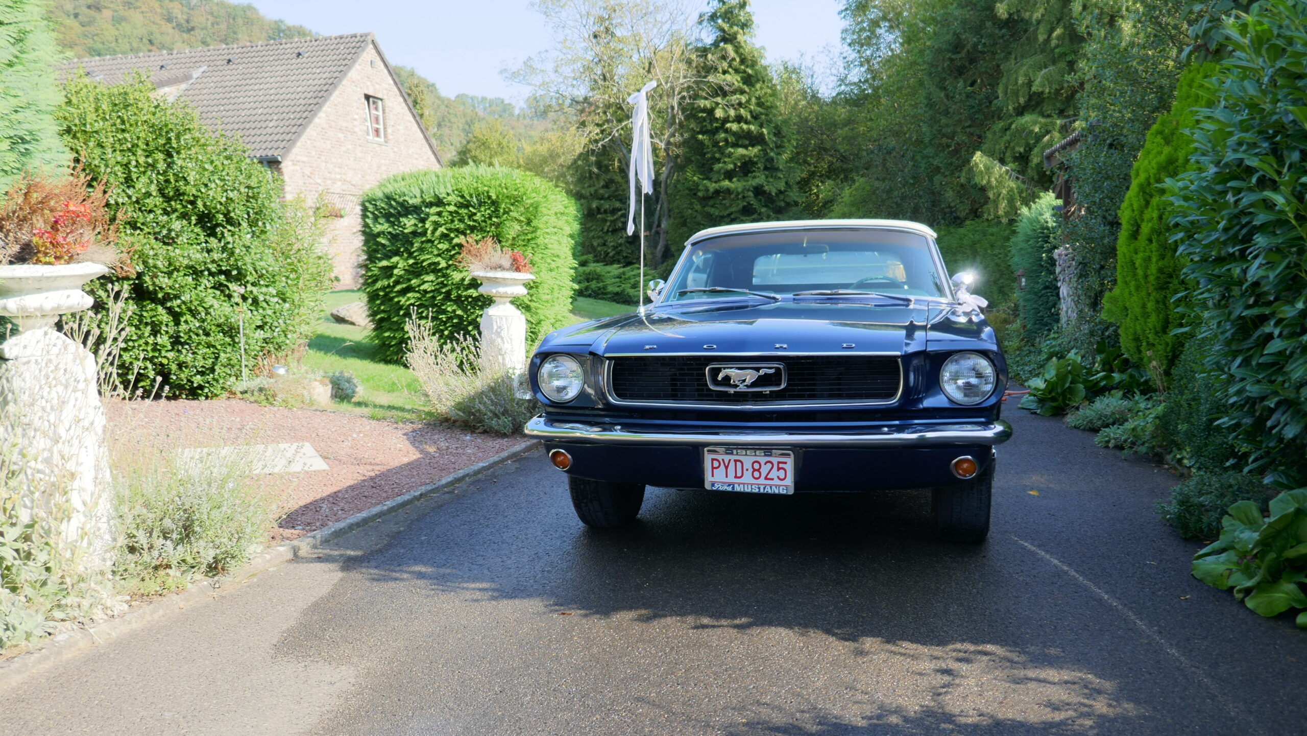 goodtimers-Ford-Mustang-1966-9