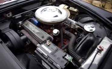 goodtimers-Ford-Thunderbird-1957-3