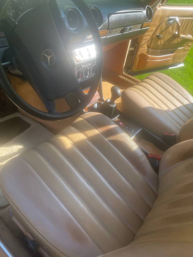 240d-diesel-1982-brown-10