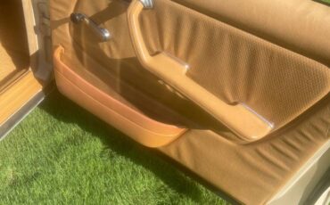 240d-diesel-1982-brown
