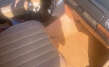 240d-diesel-1982-brown-4