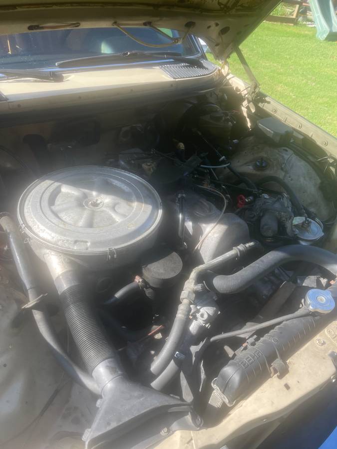 240d-diesel-1982-brown-6
