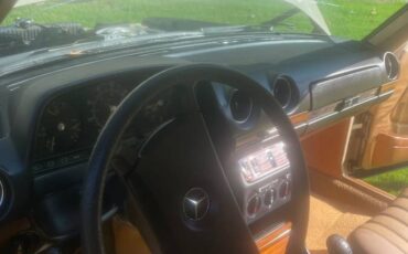 240d-diesel-1982-brown-9