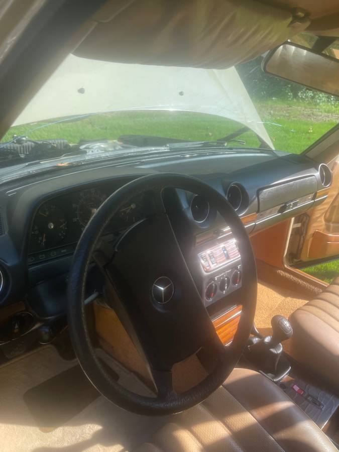 240d-diesel-1982-brown-9