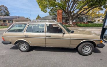 300-td-w123-diesel-1980-custom-10