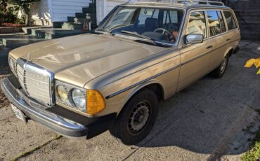 300-td-w123-diesel-1980-custom