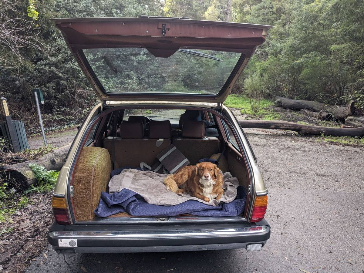 300-td-w123-diesel-1980-custom-7