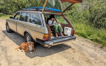 300-td-w123-diesel-1980-custom-8
