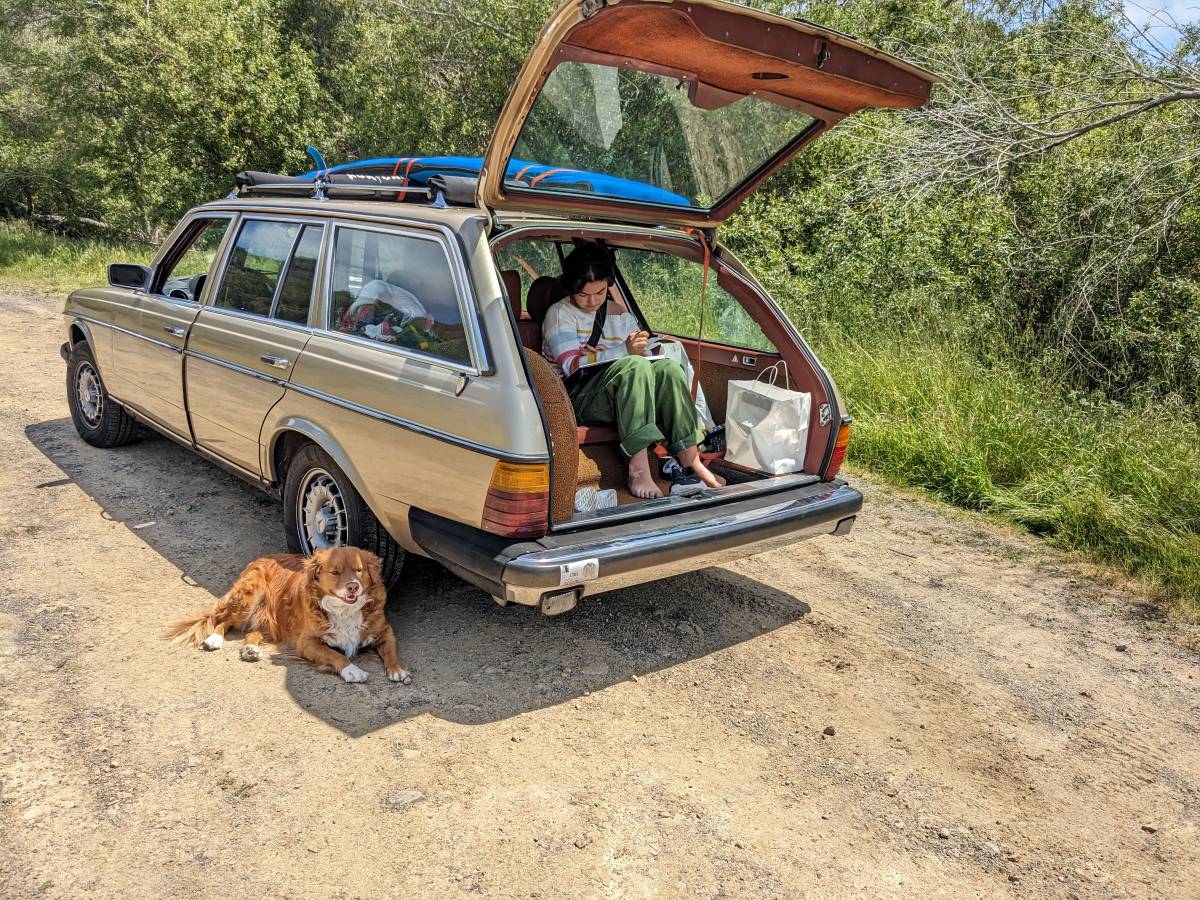 300-td-w123-diesel-1980-custom-8