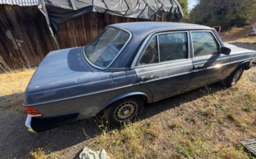 300-turbo-diesel-1984-blue-1