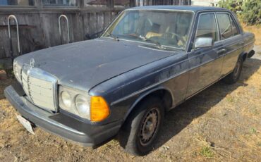 300-turbo-diesel-1984-blue