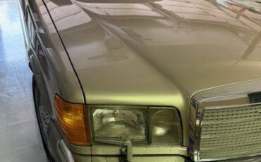 420sel-mercedes-benz-1986-grey-5