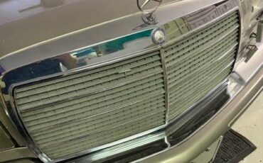 420sel-mercedes-benz-1986-grey-6