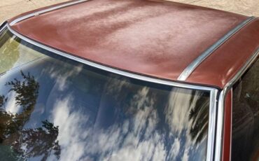 450-sl-convertible-1975-brown-1