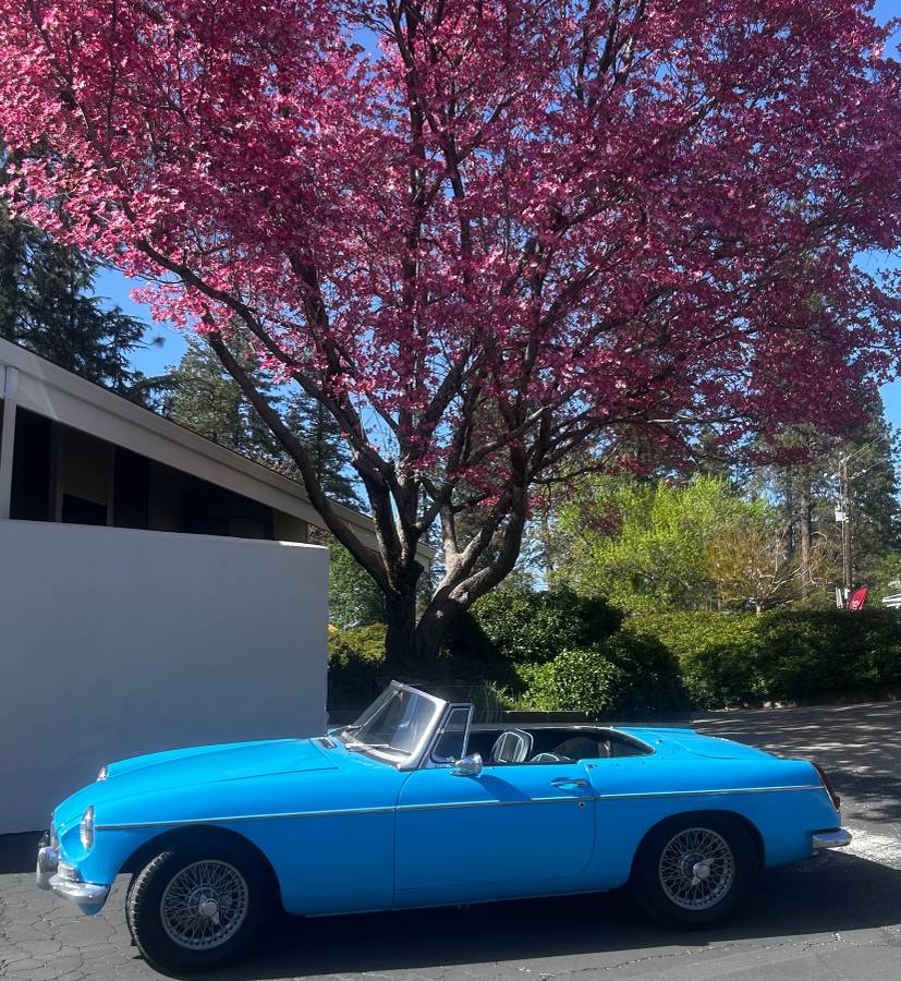 64-mg-1964-11