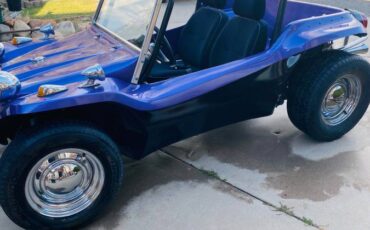 66-dune-buggy-1966-purple-2