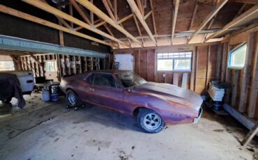 72-amx-1972-purple-1