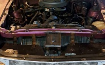 72-amx-1972-purple-7