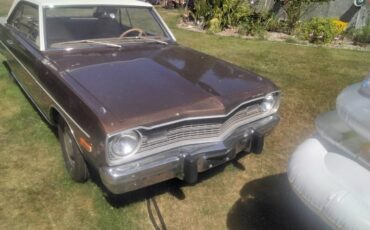 73-1973-brown-3