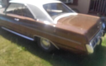 73-1973-brown