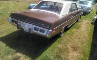 73-1973-brown-4