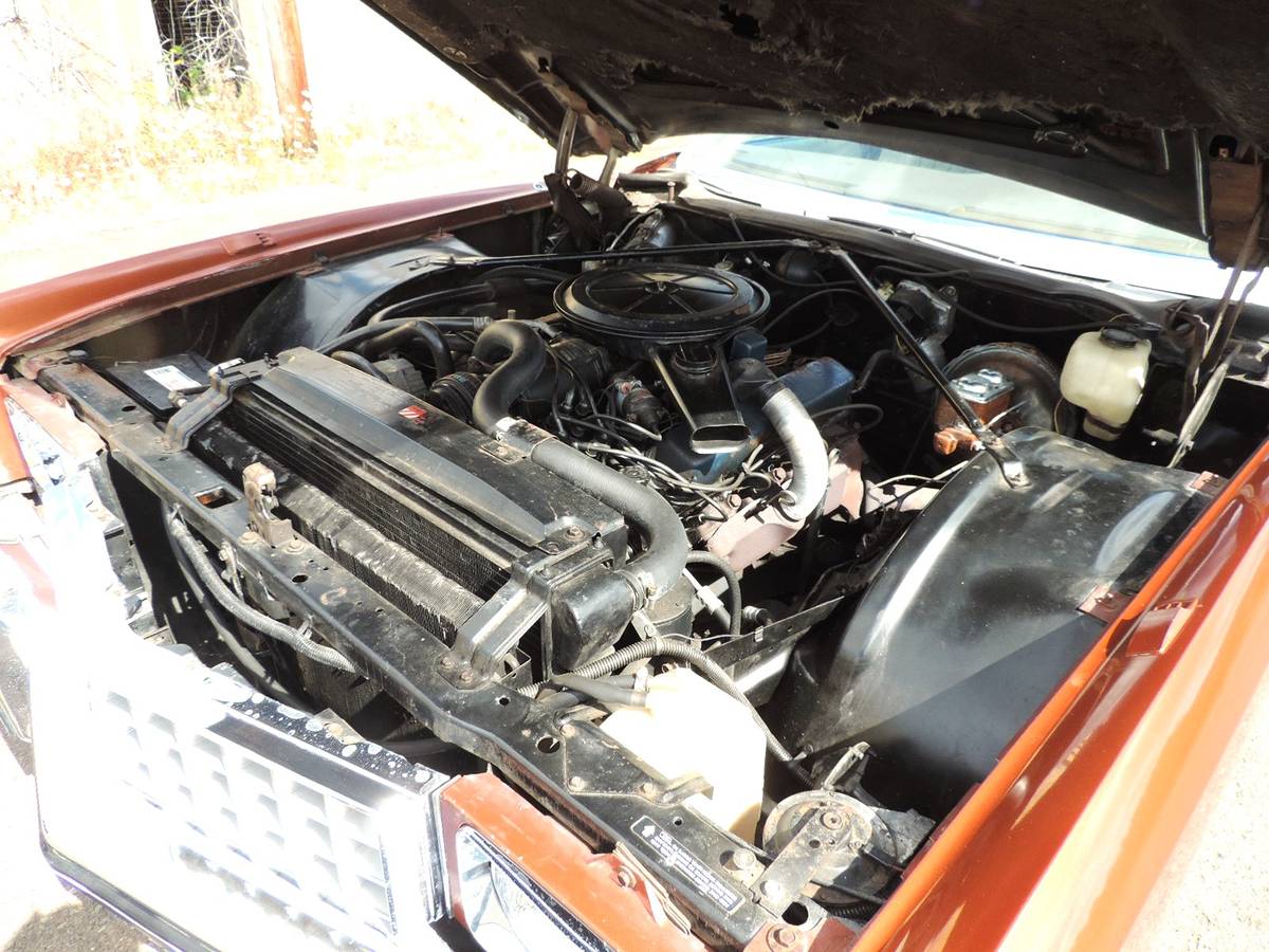 73-cadillac-eldorado-1973-orange-3