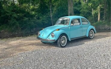 73-volkswagen-1973-blue-2