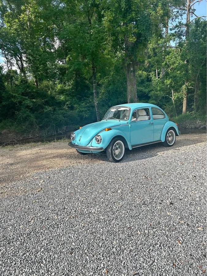 73-volkswagen-1973-blue-2