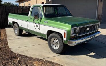 74-chevy-c20-1974-green-9